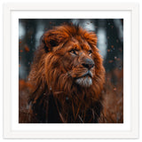Majestic Lion King Of The Jungle Close Up Portrait thumbnail