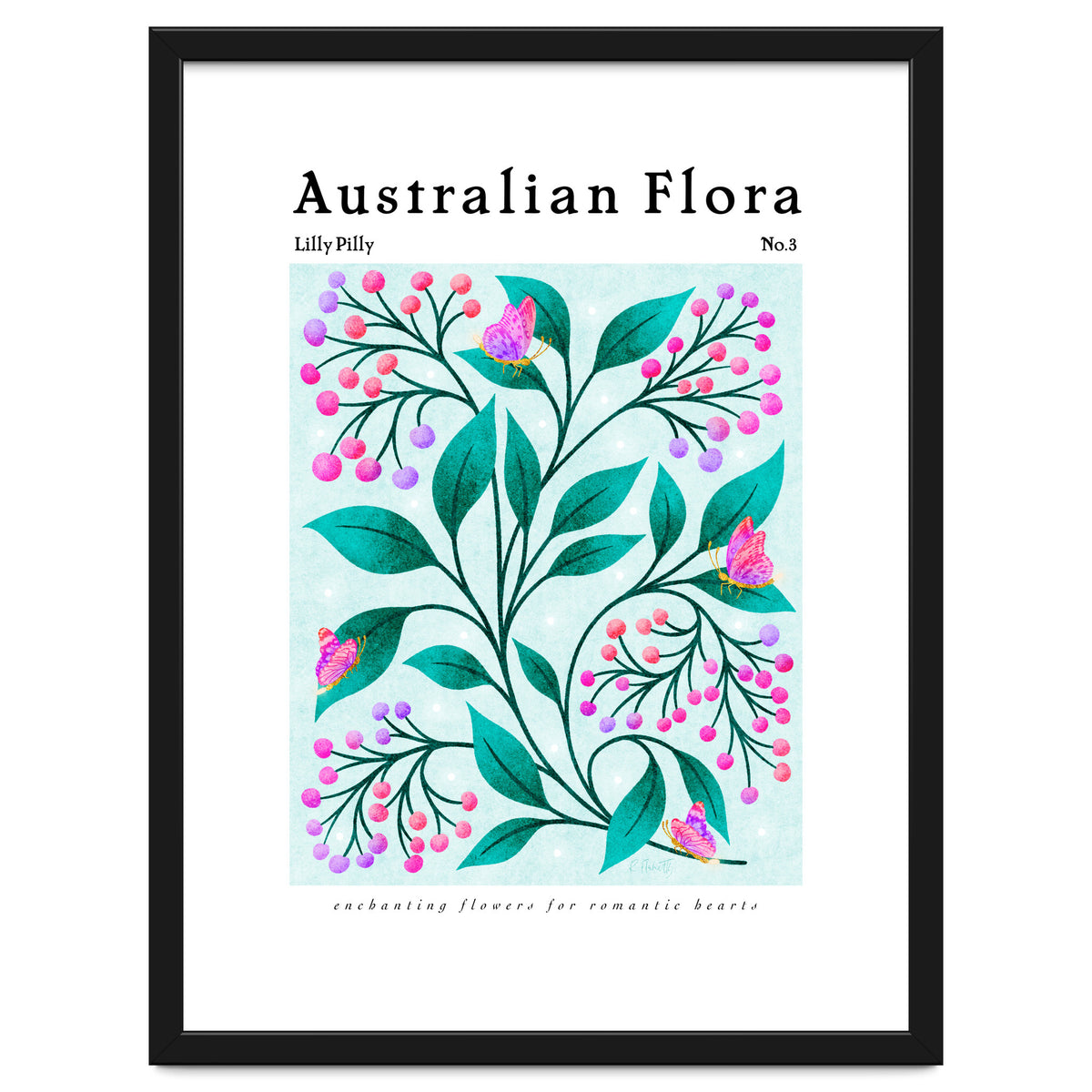 Australian Flora: Lilly Pilly