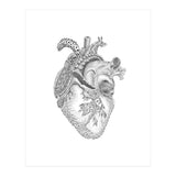 What You Love (Print Only) thumbnail