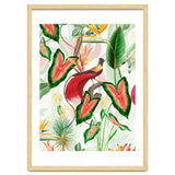 Vintage Bird Of Paradise in Jungle thumbnail