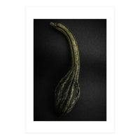 Gourds No 9 Color Version (Print Only)