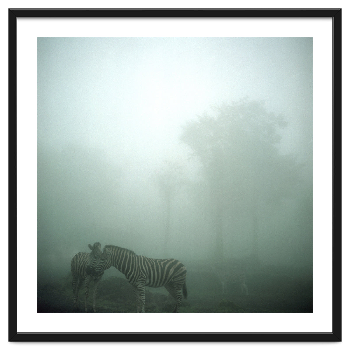 Silence of breath - 15