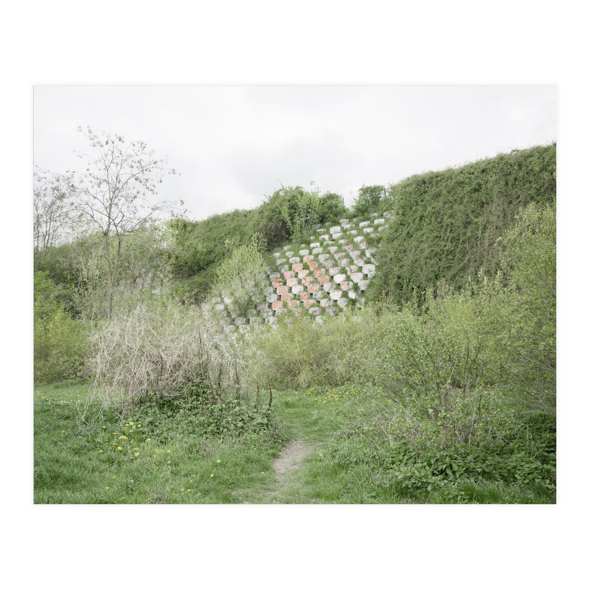 Green grass wall (Print Only)