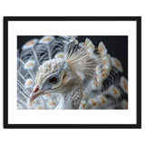 Close Up Albino Peacock Bird Portrait thumbnail