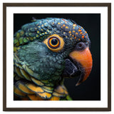 Close Up Of A Colorful Parrot's Face thumbnail