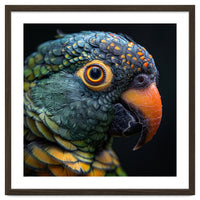Close Up Of A Colorful Parrot's Face