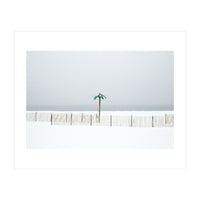 Fake palm tree in the winter snow beach (Print Only)