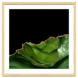 Green & Gold Agate Texture 06 thumbnail