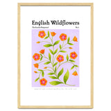 English Wildflowers | Scarlet Pimpernel thumbnail