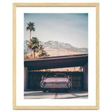 Palm Springs Pink thumbnail