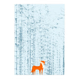 Fox Lost In The Woods (Print Only) thumbnail