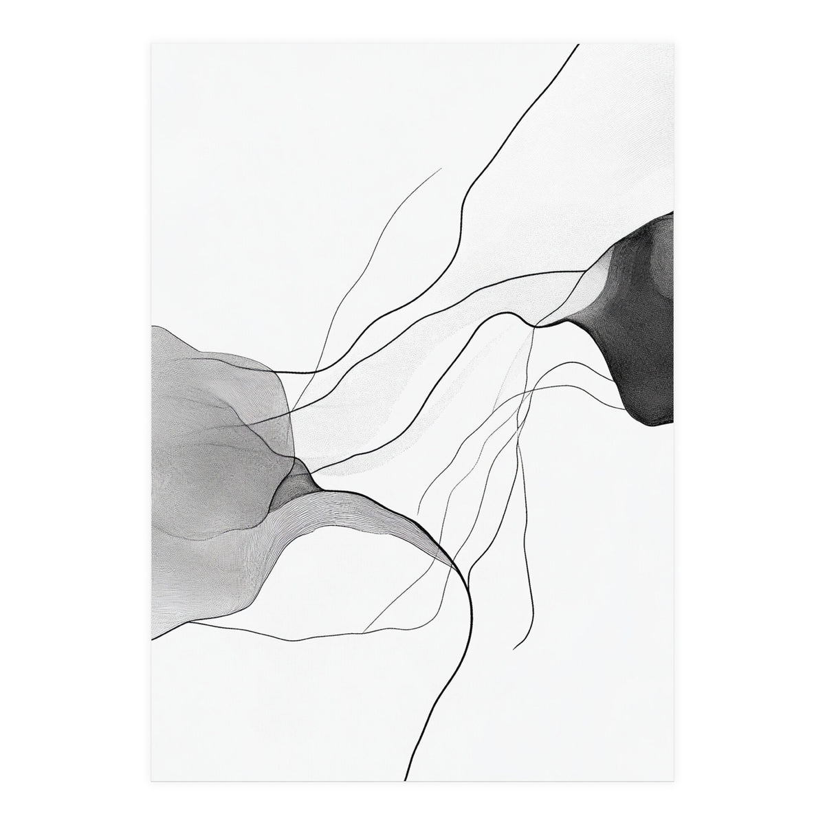 Abstract Black And White Flowing Lines And Shapes On White Background (Print Only)