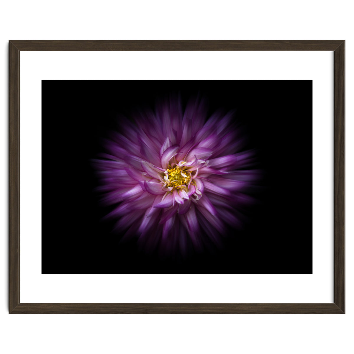 Backyard Flowers No 20 Color Flow Version