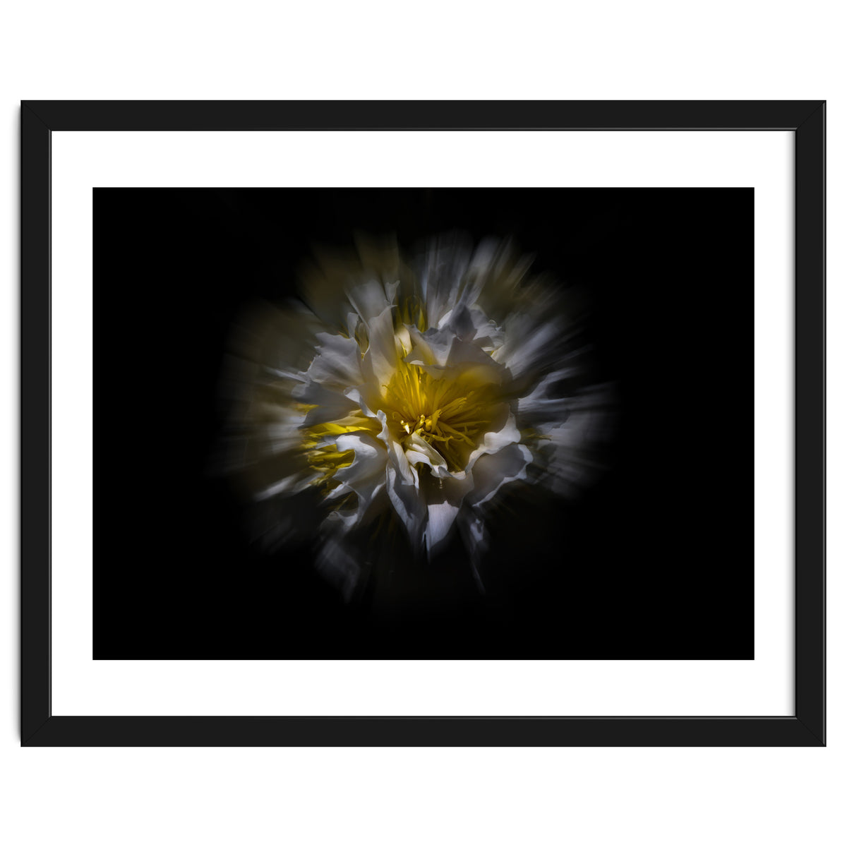 Backyard Flowers No 25 Color Flow Version