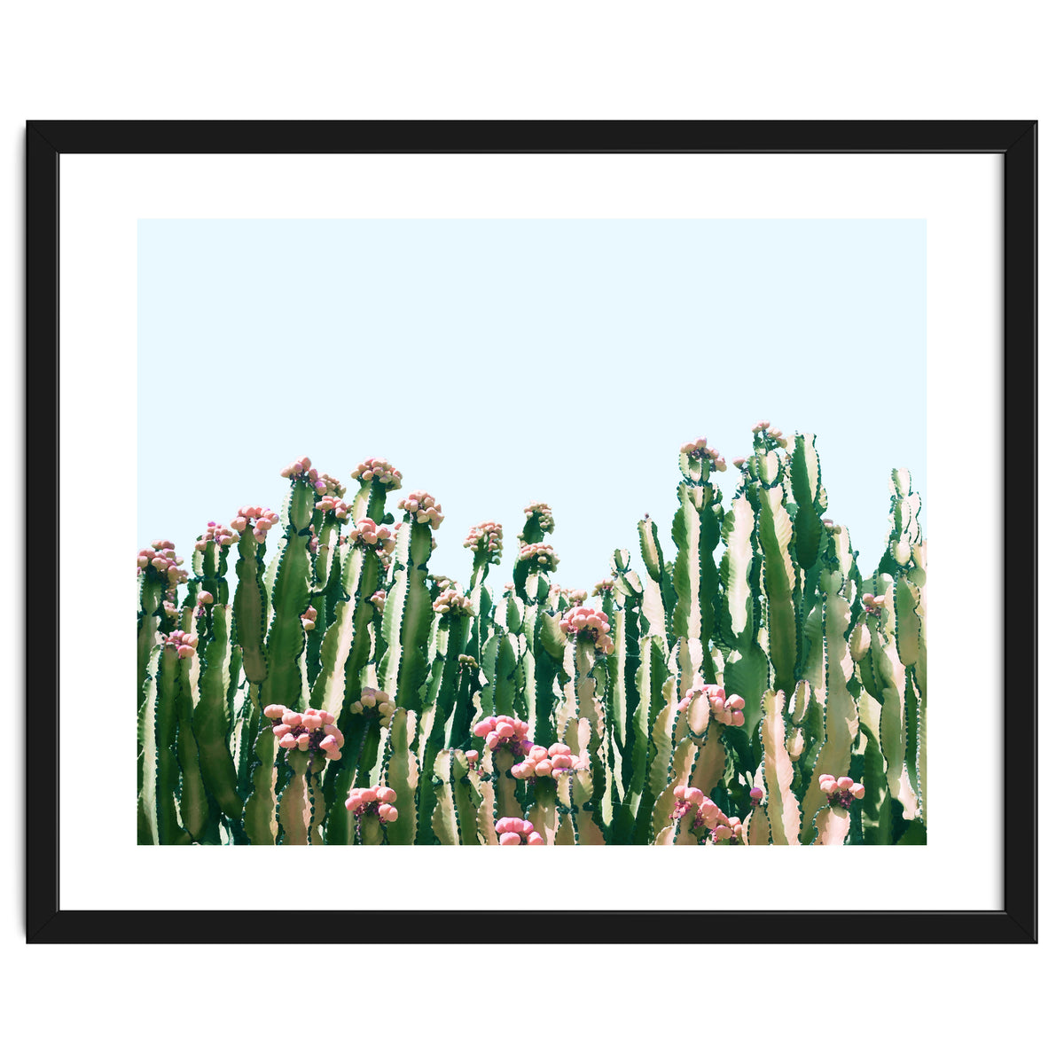 Blush Cactus #society6 #decor #buyart