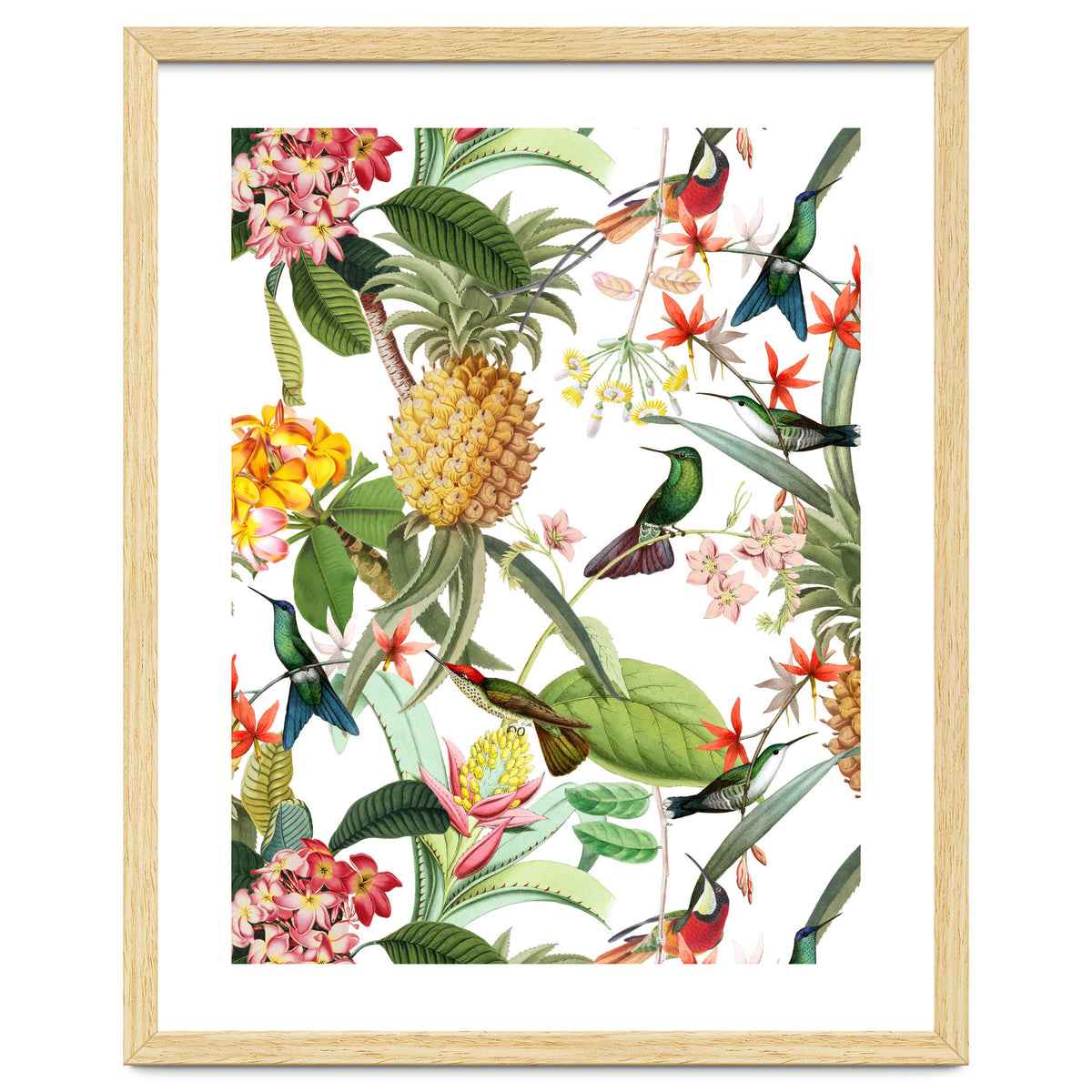 Hummingbirds in tropical Jungle