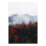 Fog (Print Only) thumbnail