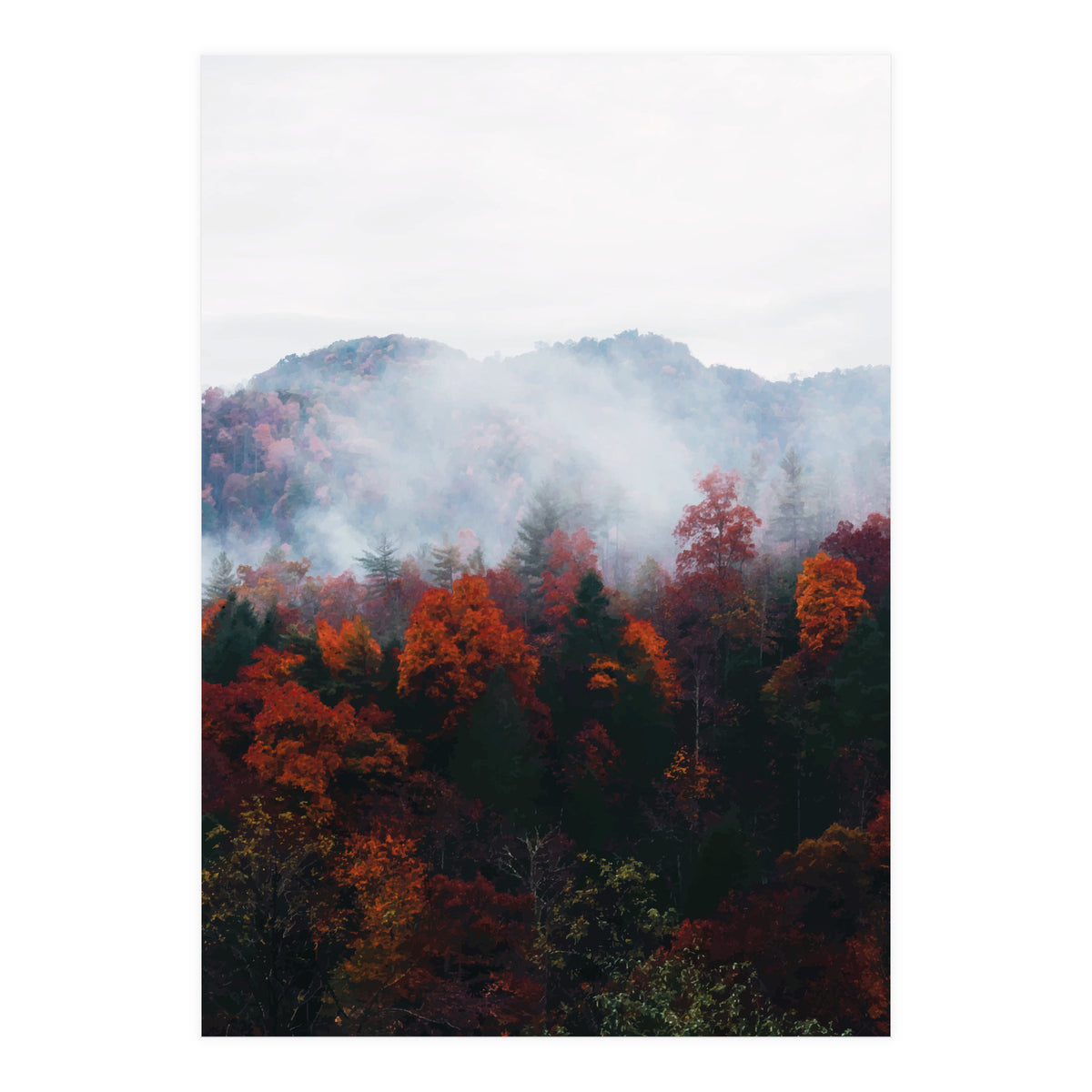 Fog (Print Only)