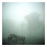 Silence of breath - 15 (Print Only) thumbnail