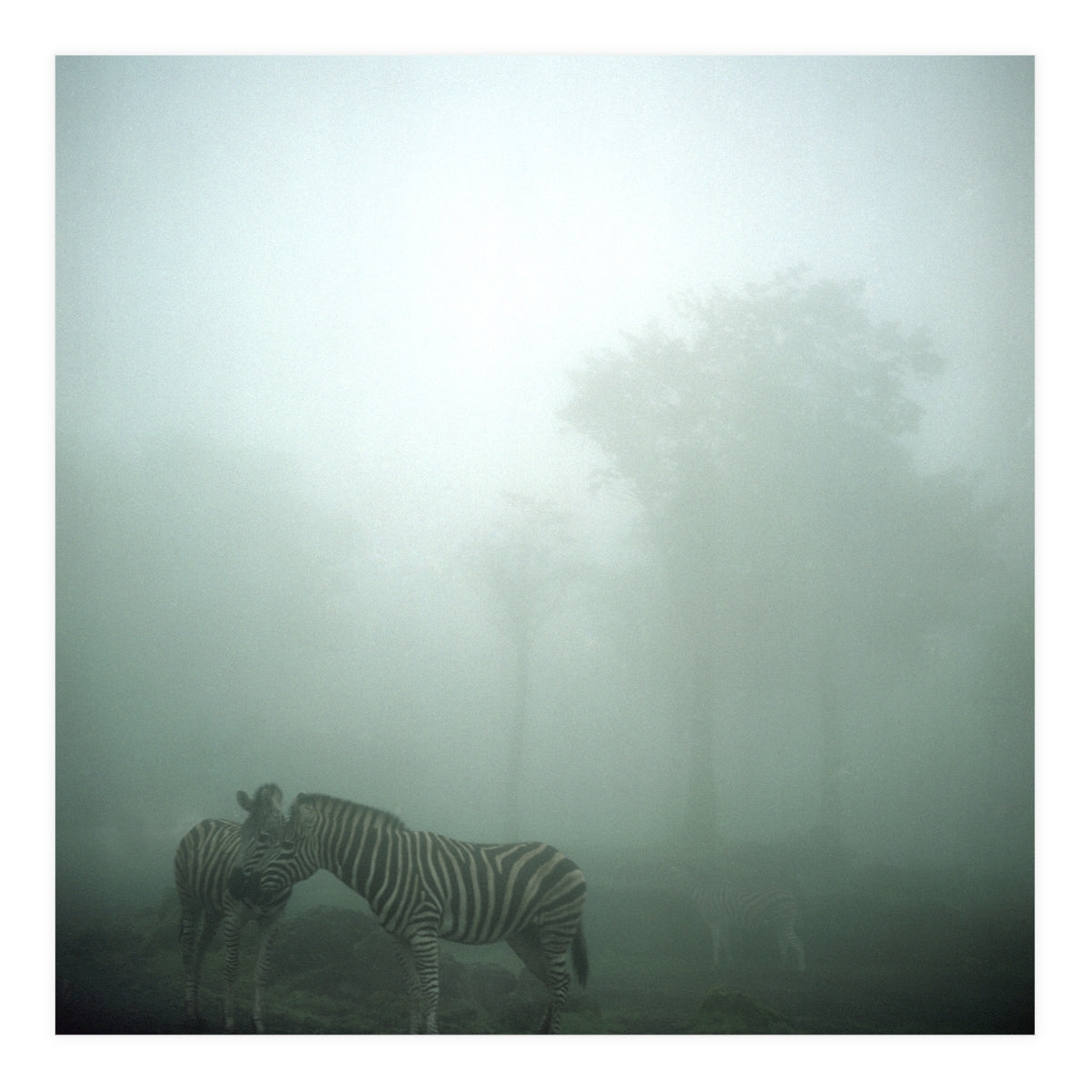 Silence of breath - 15 (Print Only)