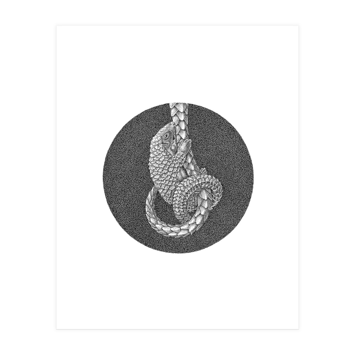 Pangolin no. 3 (Print Only)