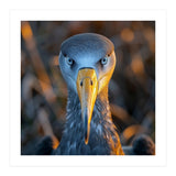 Great Blue Heron Closeup Dramatic Portrait (Print Only) thumbnail