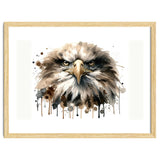Fierce Bald Eagle Portrait thumbnail