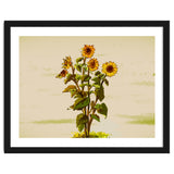 Reaching for the Sun thumbnail