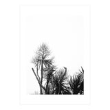 Miminalist Palm (Print Only) thumbnail