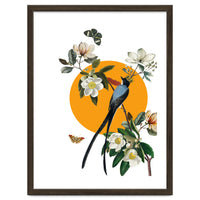 collage floral birds