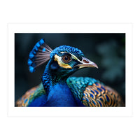 Peacock Head Close Up Majestic Blue Bird (Print Only)