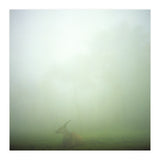 Silence of breath - 06 (Print Only) thumbnail