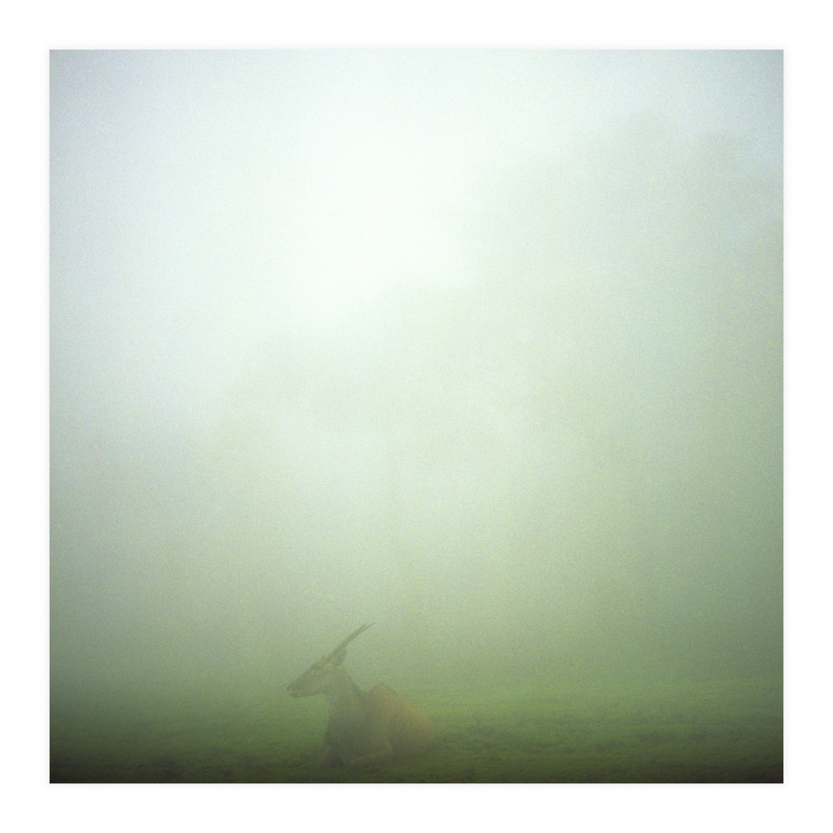 Silence of breath - 06 (Print Only)