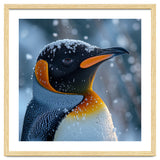 King Penguin Close Up In Snowy Environment thumbnail
