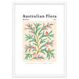 Australian Flora: Wax Flower thumbnail