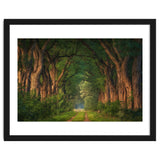 Soft morning light thumbnail