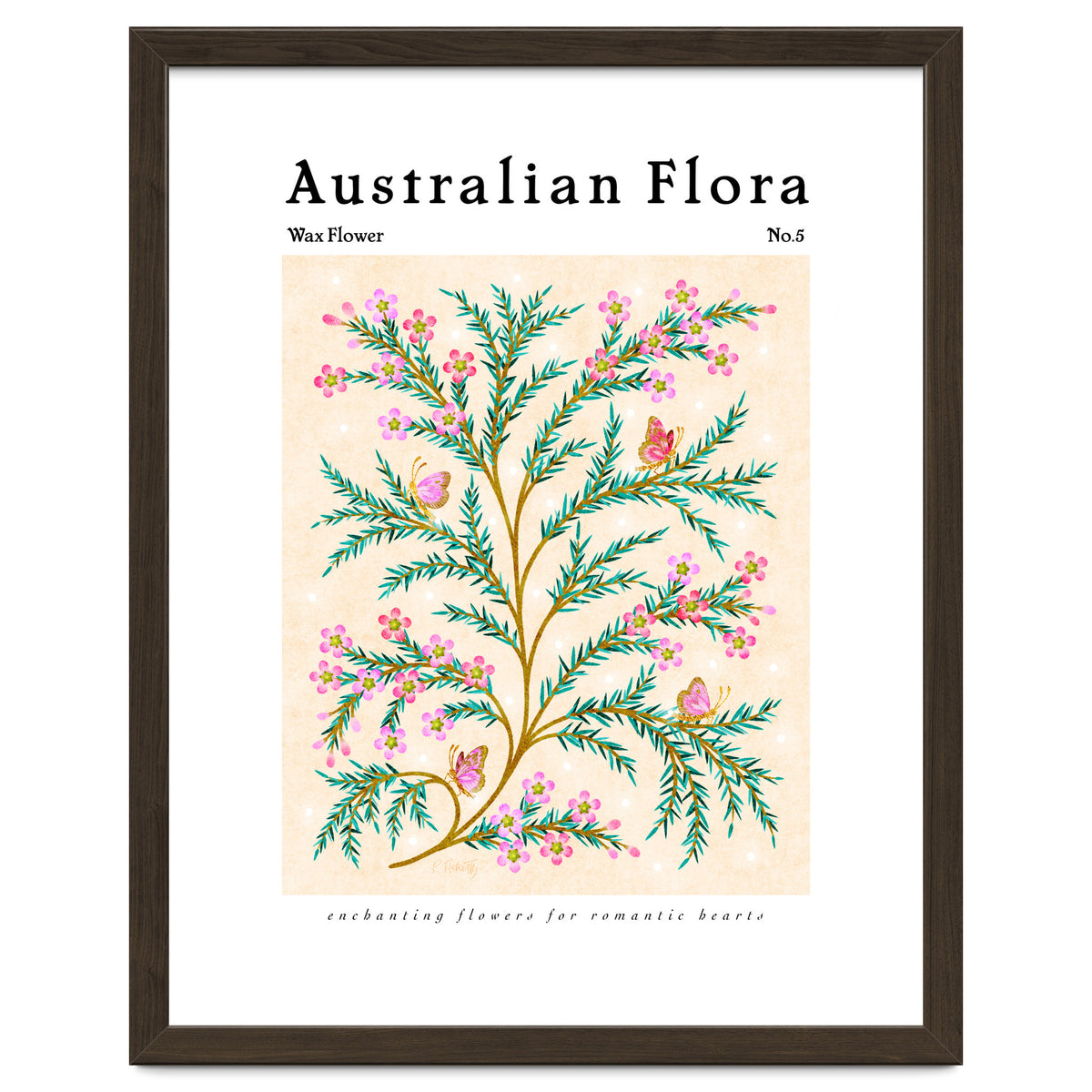 Australian Flora: Wax Flower