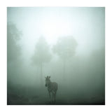 Silence of breath - 01 (Print Only) thumbnail
