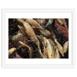 Fish01 thumbnail