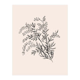 Acacia Botanical illustration (Print Only) thumbnail