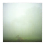 Silence of breath - 06 (Print Only) thumbnail