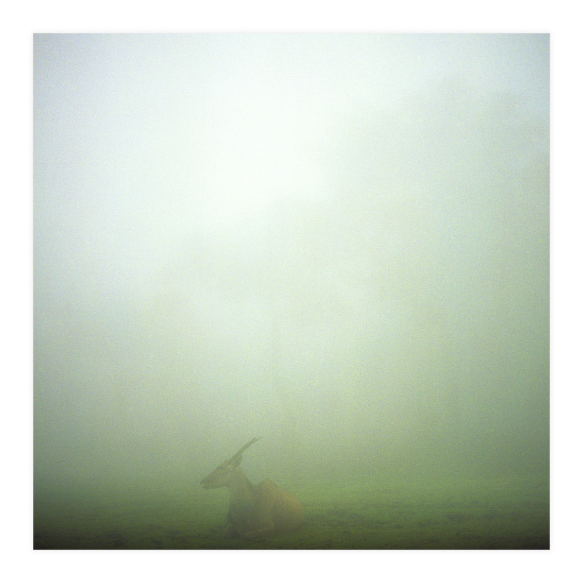 Silence of breath - 06 (Print Only)