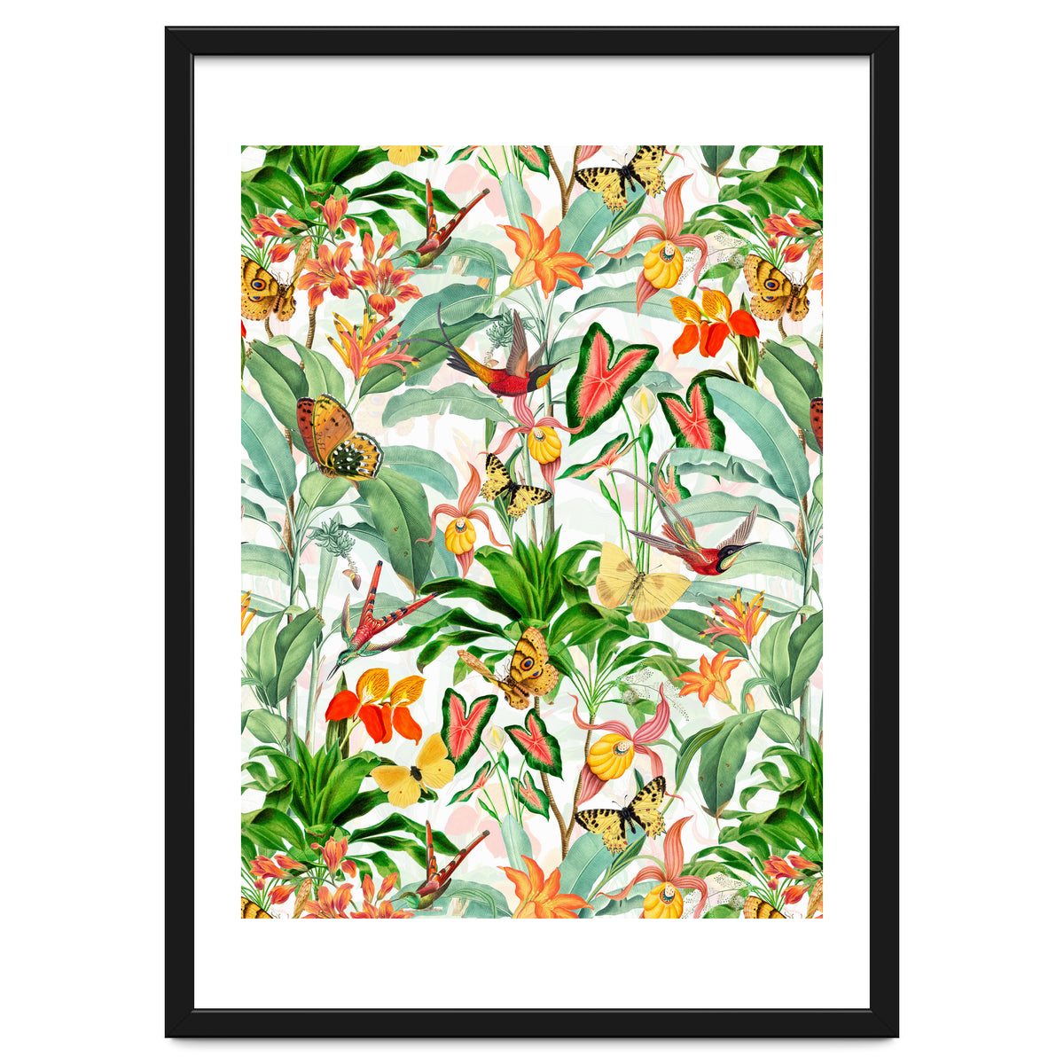 Birds And Butterflies In Tropical Jungle