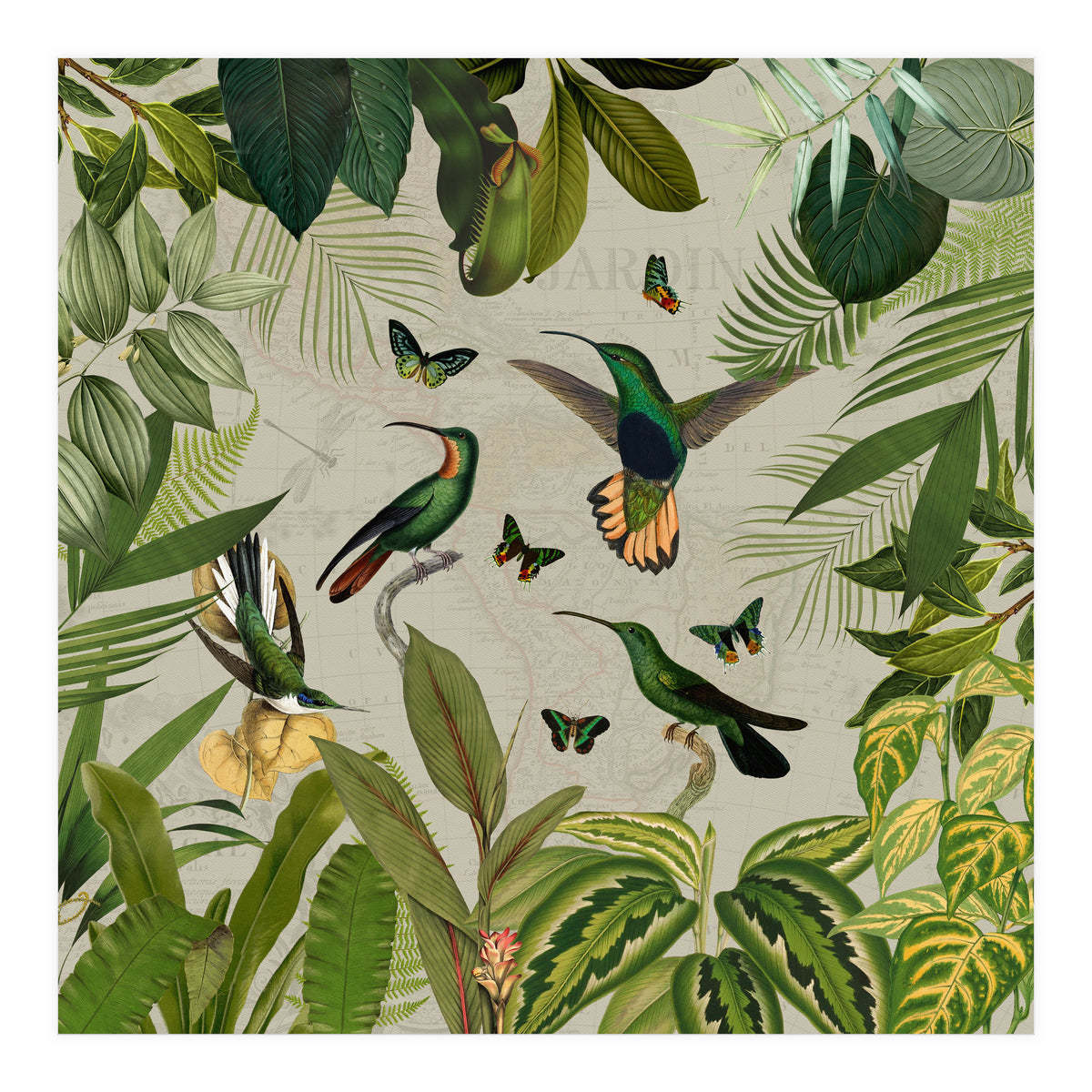 Vintage Exotic Hummingbirds Jungle (Print Only)