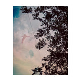 This Bird Has Flown (Print Only) thumbnail