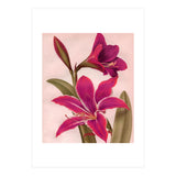 Vintage Floral (Print Only) thumbnail