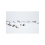 Tables and benches in a snow-covered park (Print Only) thumbnail