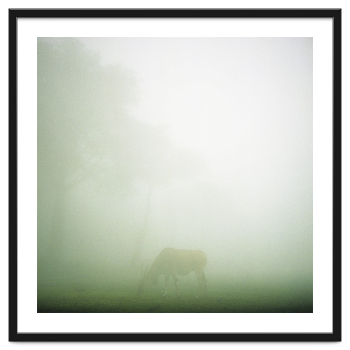 Silence of breath - 09