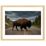 Bison on the Road , Yellowstone Wildlife Photography thumbnail