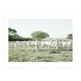 LIVING TOGETHER - WHITE COWS FAMILY (Print Only) thumbnail